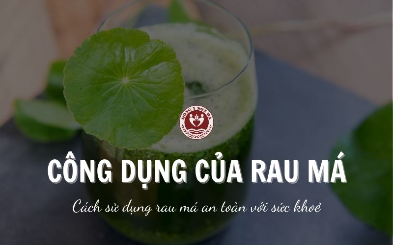 Công dụng của rau má