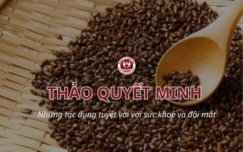 Thảo quyết minh có tác dụng gì?