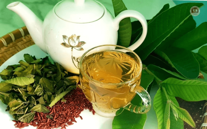 4. Uống nước lá ổi nhiều có tốt không?