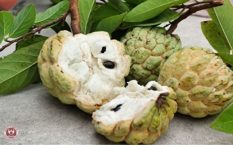 2.5 Hỗ trợ giảm viêm và bảo vệ khớp