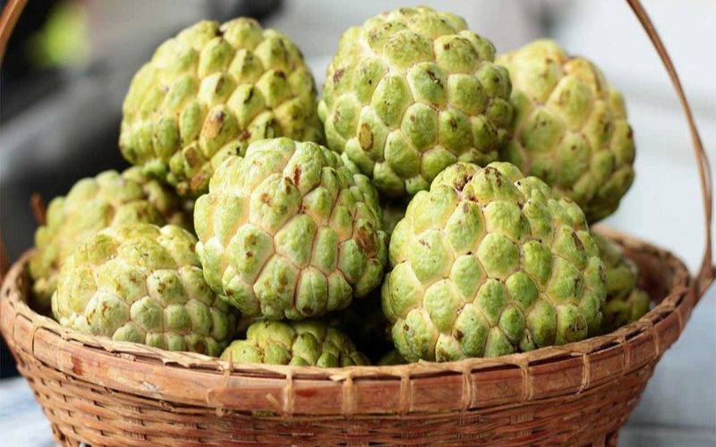 1. Giá trị dinh dưỡng của quả na