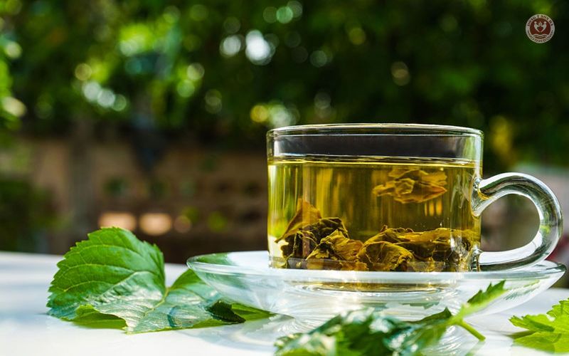 3.5 Lá dâu tằm