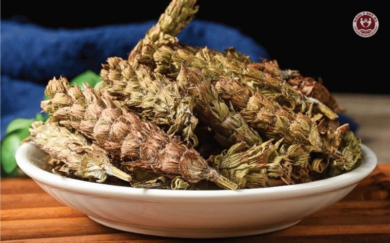 Bài thuốc hay từ hạ khô thảo