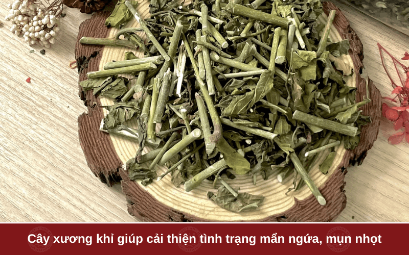 Thanh nhiệt, giải độc, trị mụn nhọt