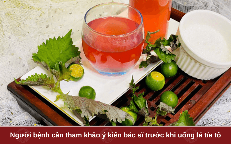 Ai không nên uống nước lá tía tô?