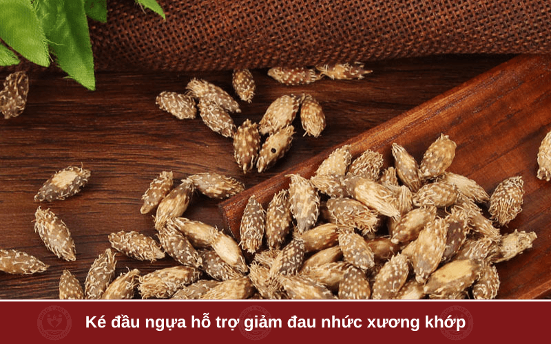 Hỗ trợ giảm đau nhức xương khớp