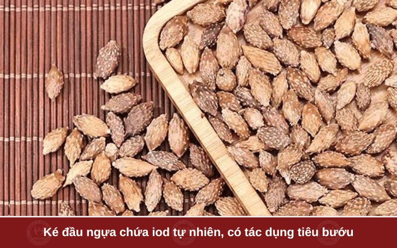 Hỗ trợ điều trị bướu cổ