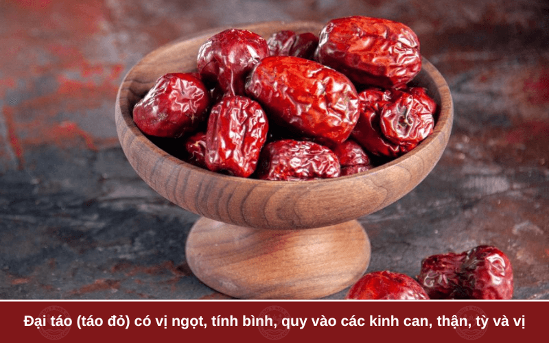 1. Đại táo là gì?