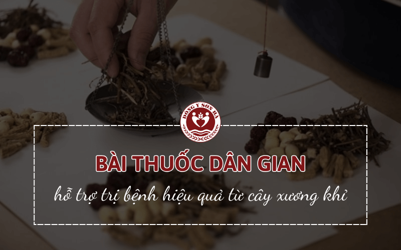Bài thuốc dân gian từ cây xương khỉ